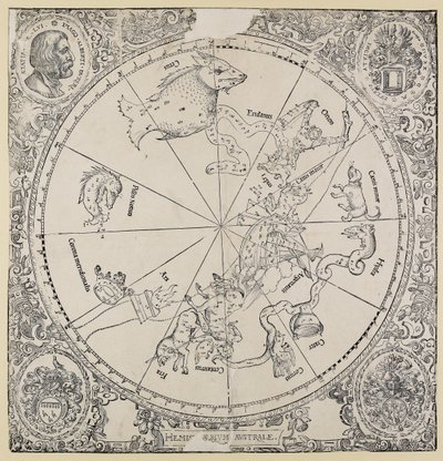 The Celestial Chart of the Southern Hemisphere by Albrecht Dürer